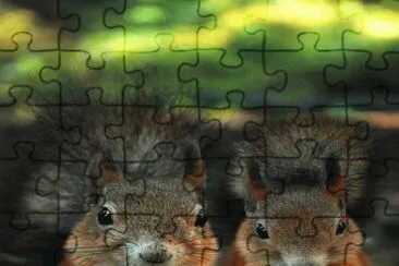 . jigsaw puzzle