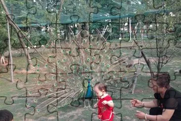 å½¤å½¤å’Œå­”é›€ jigsaw puzzle
