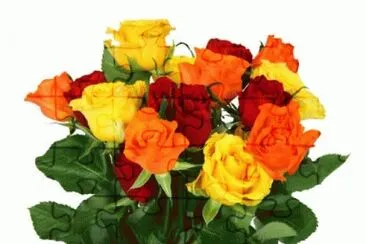 Colorful Rose Bouquet