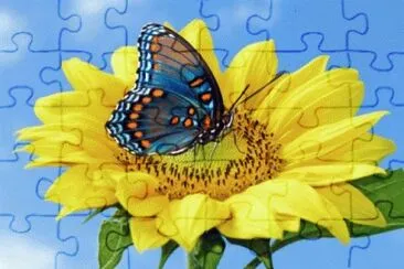  jigsaw puzzle
