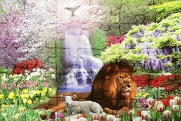 animais