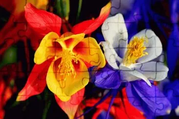 Spring Colors