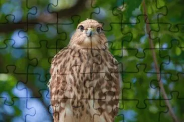 MARSU jigsaw puzzle