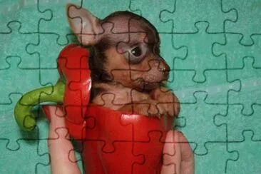 127