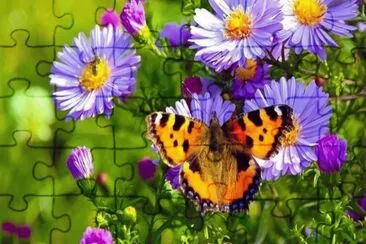  jigsaw puzzle