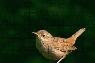 MARSU jigsaw puzzle