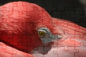 MARSU jigsaw puzzle