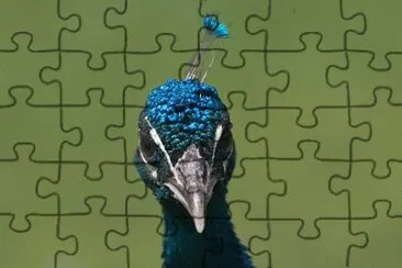 MARSU jigsaw puzzle
