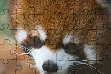 MARSU