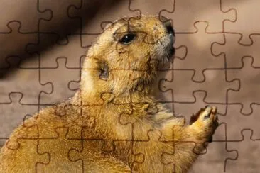 MARSU jigsaw puzzle