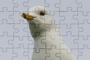 MARSU jigsaw puzzle