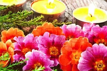 Light Spring jigsaw puzzle