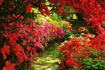 11 abril caminho de flores jigsaw puzzle