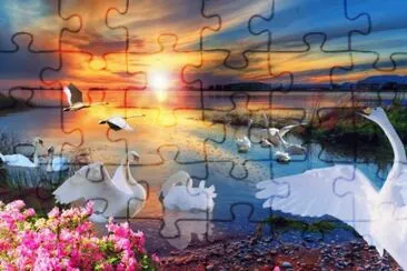 cisnes jigsaw puzzle