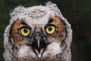 MARSU jigsaw puzzle