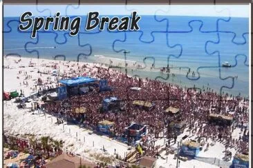 Spring Break-San Diego jigsaw puzzle