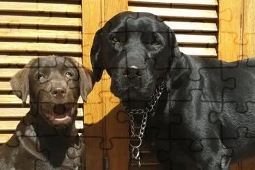 katia e igor jigsaw puzzle
