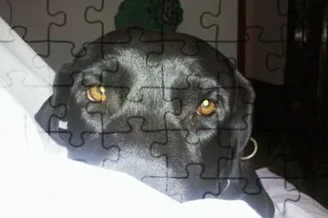 Igor jigsaw puzzle