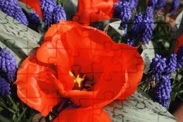 d jigsaw puzzle