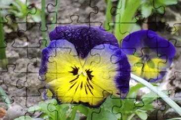MARSU jigsaw puzzle