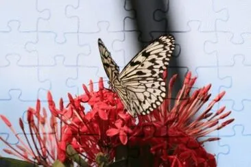 MARSU jigsaw puzzle