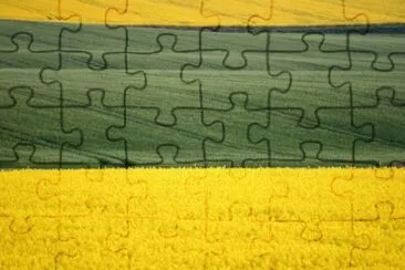 MARSU jigsaw puzzle