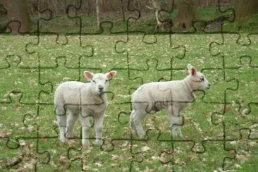 MARSU jigsaw puzzle