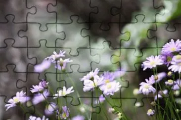 MARSU jigsaw puzzle