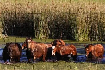 o sul jigsaw puzzle