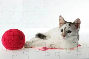 MARSU jigsaw puzzle