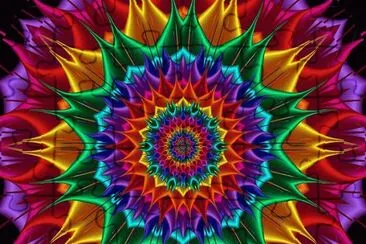 Color Dream