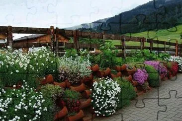 NÂº 342 jigsaw puzzle