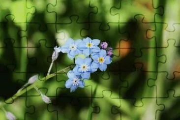 MARSU jigsaw puzzle