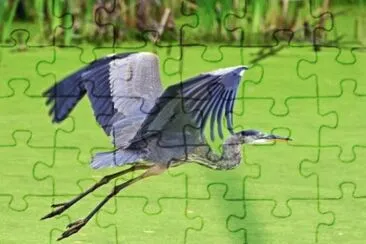 MARSU jigsaw puzzle