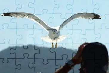 MARSU jigsaw puzzle