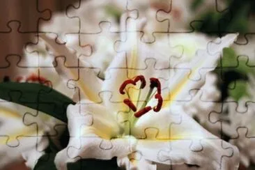 MARSU jigsaw puzzle