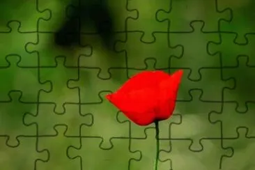 MARSU jigsaw puzzle