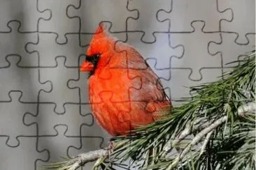 MARSU jigsaw puzzle
