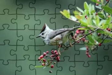 å±±æµ·é£›ç¾½ jigsaw puzzle