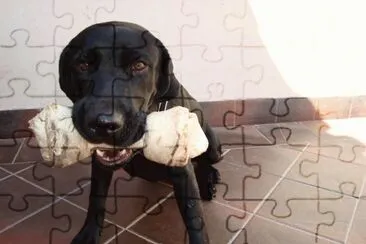 igor y su hueso jigsaw puzzle
