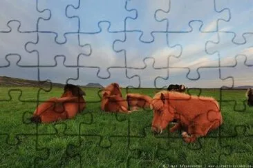 bonito paisaje jigsaw puzzle
