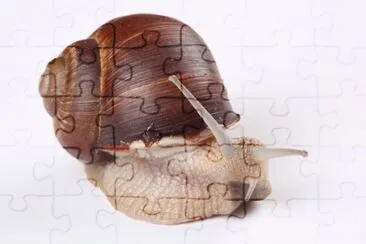 MARSU jigsaw puzzle