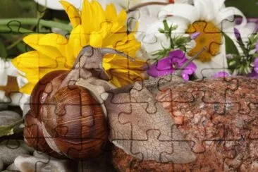 MARSU jigsaw puzzle