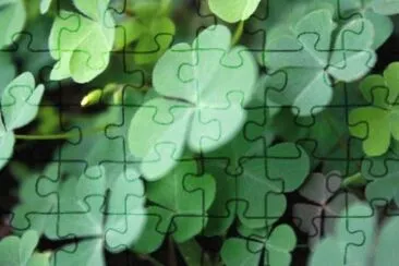 MARSU jigsaw puzzle