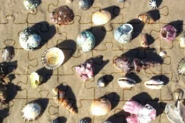 MARSU jigsaw puzzle