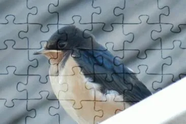 MARSU jigsaw puzzle