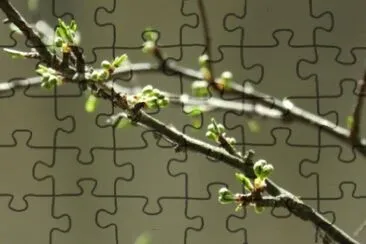 MARSU jigsaw puzzle