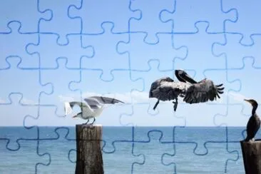 MARSU jigsaw puzzle