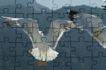 MARSU jigsaw puzzle