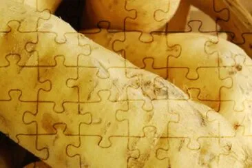 MARSU jigsaw puzzle